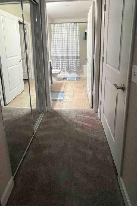 Appartement Blooming Journey In Tampa Bay! Extérieur photo